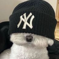 ちさとさんのアイコン画像