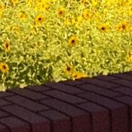 ふゆてゅんさんのアイコン画像