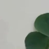 黒崎優璃さんのアイコン画像