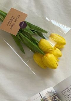 あの作曲家に幼なじみいました