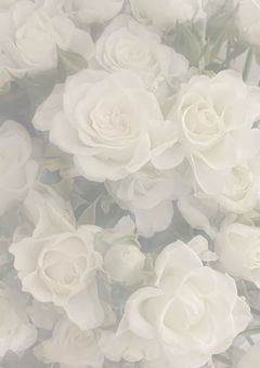 求婚、全て断ります