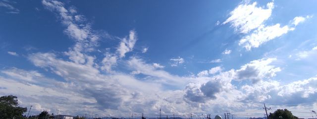 trentrashさんの壁紙画像