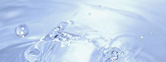 すえこ@復活さんの壁紙画像