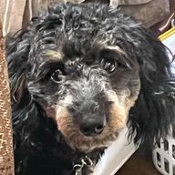 羽嫩華_Jさんのアイコン画像