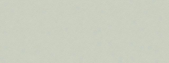 和桜さんの壁紙画像