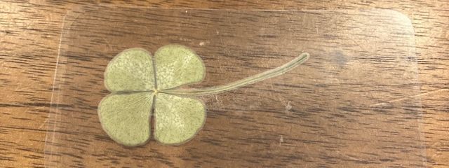 カヤナさんの壁紙画像