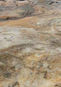 購入紹介と雑談（実写）