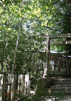朱い鳥居と夏霞
