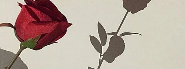 ぶるーべりー🫐さんの壁紙画像