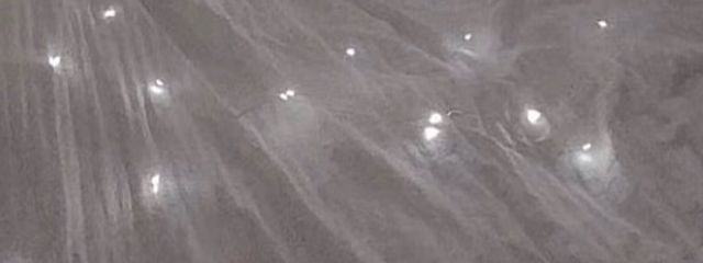 引 退さんの壁紙画像