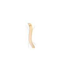 しなしなぽてとさんのアイコン画像