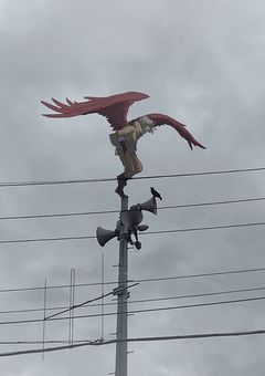 ホークスの年下幼なじみ。