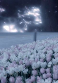 # 雨の日 , 死ぬ前に