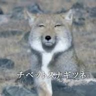 大豆製品さんのアイコン画像
