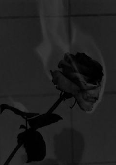 青鬼が堕ちる 【 stgr 】