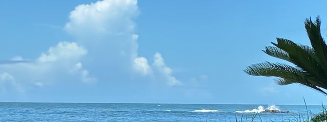 ✳︎ちもおのちもちっも✳︎さんの壁紙画像