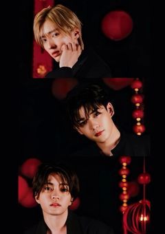 『好き』の気持ちには、嘘つけない