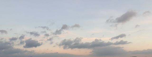 雷さんの壁紙画像