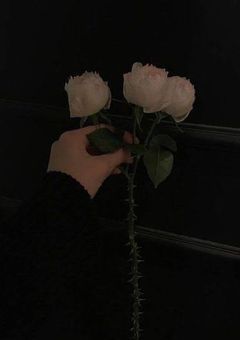 北斗はみんなに愛されてる