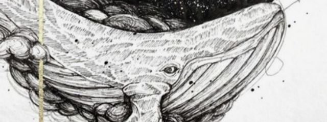 雪 夢 鯨 🐳‎ 𓈒𓏸さんの壁紙画像