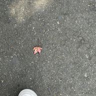 aamさんのアイコン画像