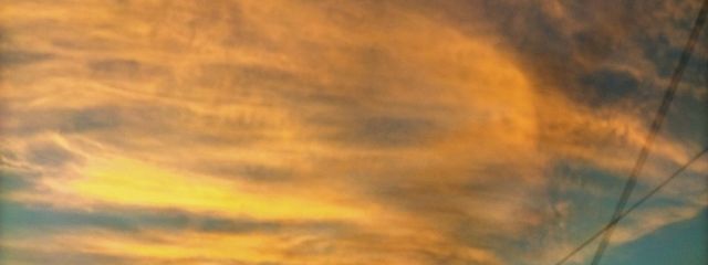 夜桜 あゆみ 🦢🎀さんの壁紙画像