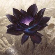 ハスの花さんのアイコン画像