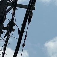 ぽとさんのアイコン画像