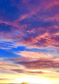 天使、地上で悪魔と出会う