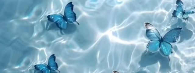 うーるさんの壁紙画像