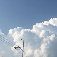 うーるさんのアイコン画像