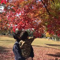 きな公さんのアイコン画像