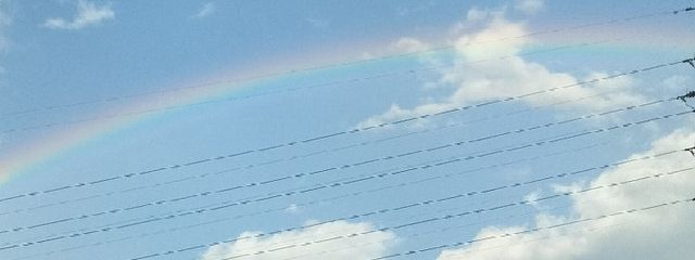 clownさんの壁紙画像