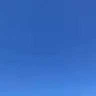 しきみさんのアイコン画像