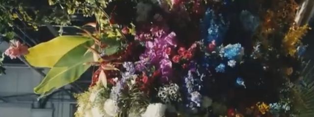 りなさんの壁紙画像