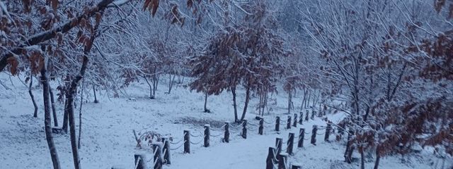 遥日@3歳児さんの壁紙画像