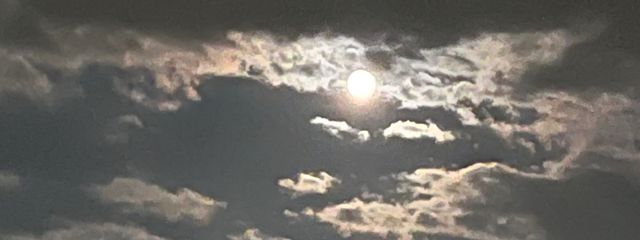 天音🍏さんの壁紙画像