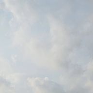 柚月さんのアイコン画像