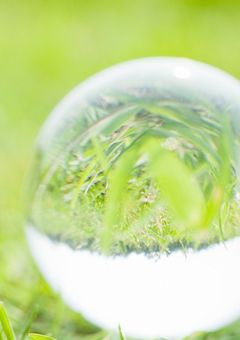 愛され姫ちゃんの短編集