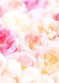 ママが大好きな岩本家