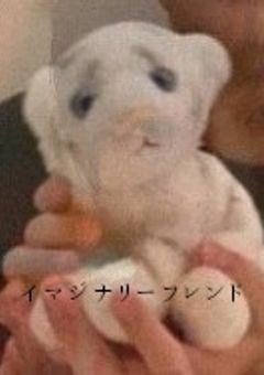 イマジナリーフレンド