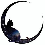 🕶️さんのアイコン画像