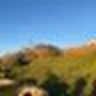 pnsajさんのアイコン画像