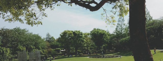 るま。さんの壁紙画像
