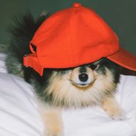 유아さんのアイコン画像