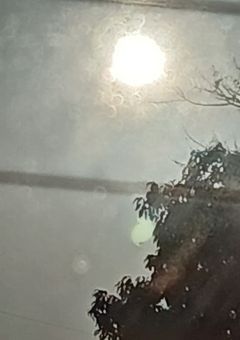 雑っっっっっっっ多