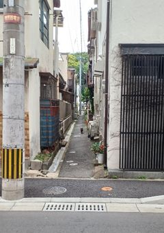 嫌だったはずなのに…