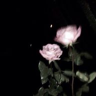 澪(mio)さんのアイコン画像