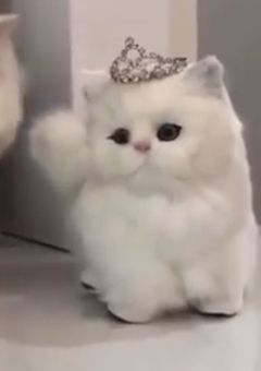 せ ぶ ち た ん ぺ ん 💍
