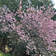 ななさんのアイコン画像